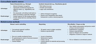 3D multicellular systems in disease modelling: From organoids to organ-on-chip